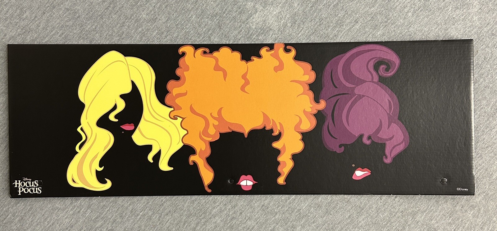 2024 Spirit Halloween Display End Cap 24″ x 8″ – Hocus Pocus