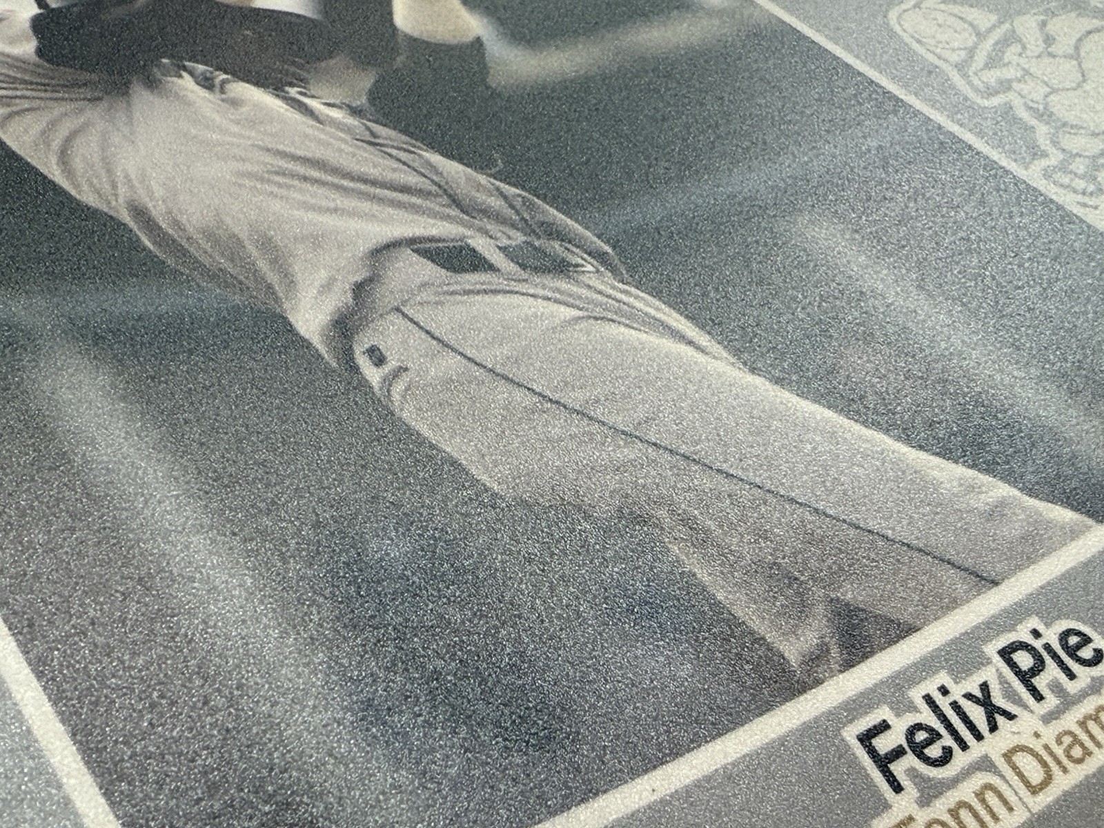 RARE! 2003 Felix Pie Just Minors Advertising Display W. Tenn Diamond Jaxx 11X15