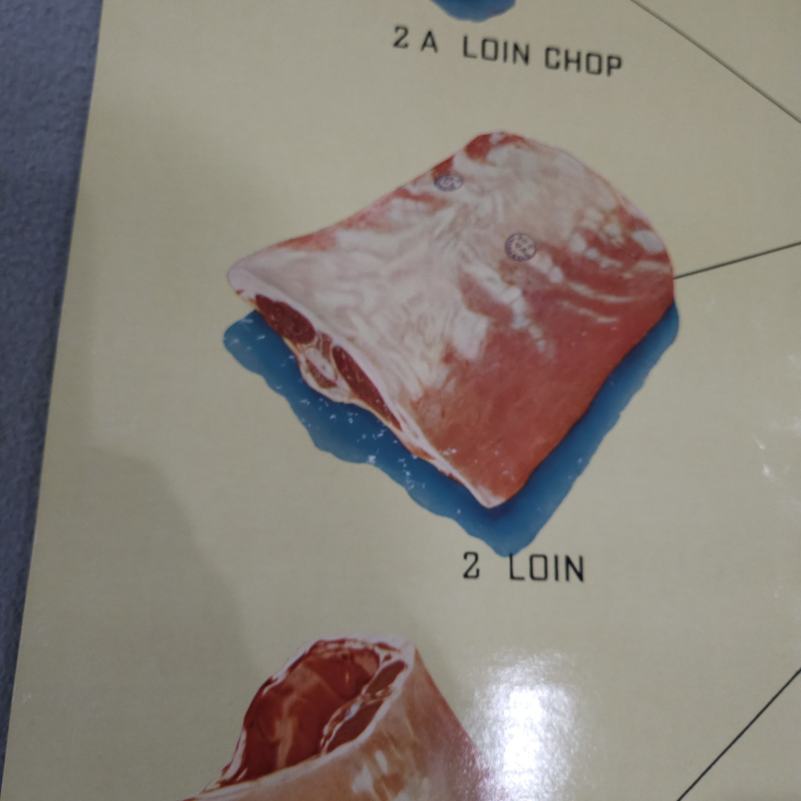 Vintage 1940s Wilson & Co. Lamb Cuts Chart Meat Poster 34½ x 22½