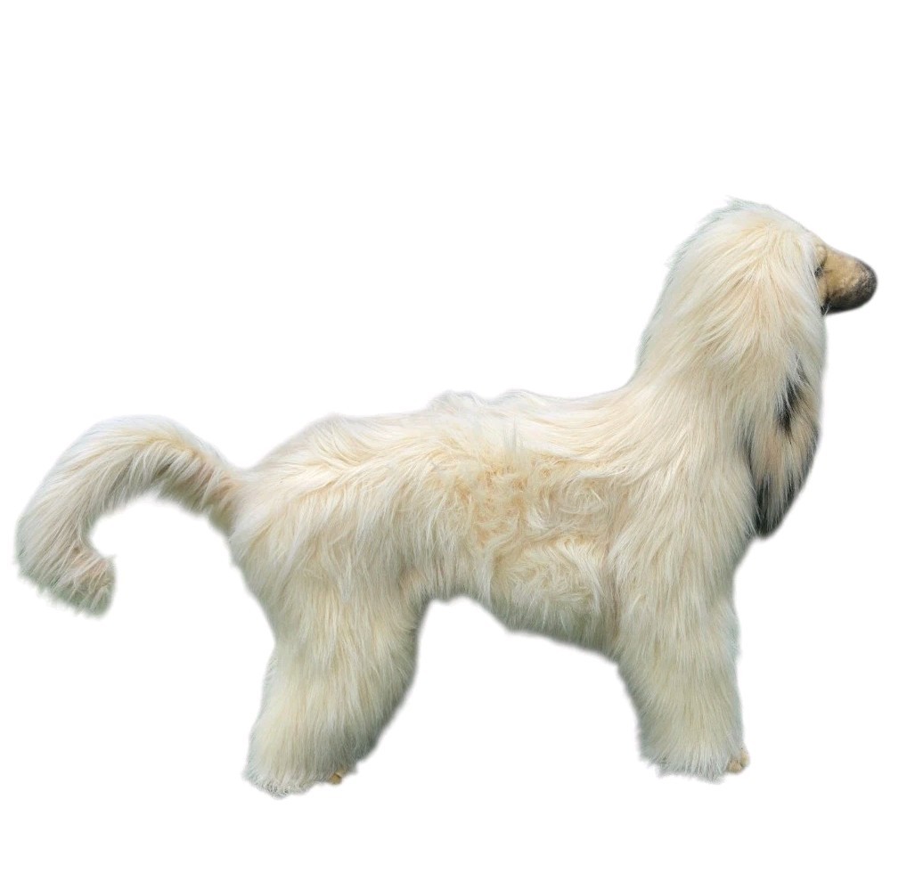 Life Size Afghan Hound High-quality Luxury Decor Dog 55″ Solid Metal Frame, Rare