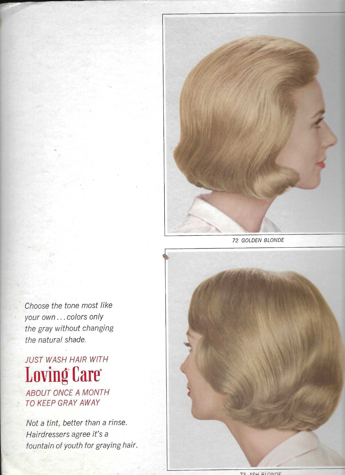 VINTAGE 1964 CLAIROL HAIR COLOR LOTION ADVERTING BEAUTY SHOP DISPLAY! COLOR PICS