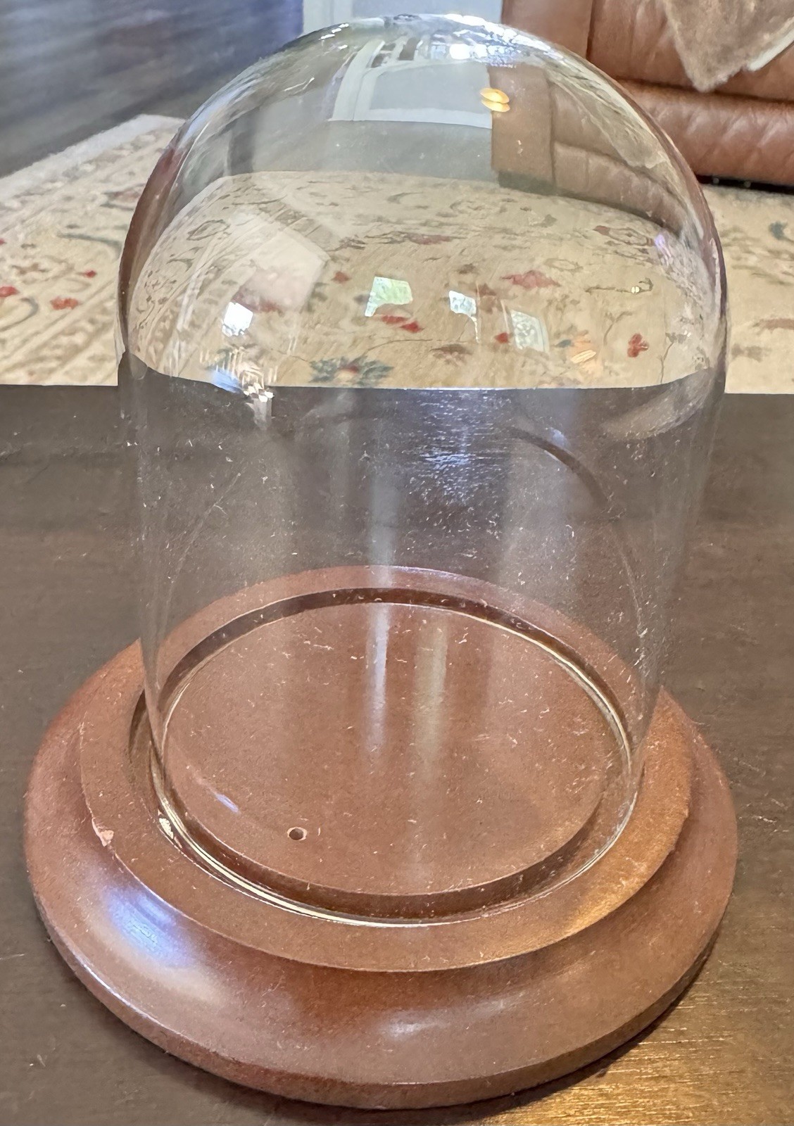 Glass Dome Display made in Taiwan for Bard’s Vintage Home decor glass display