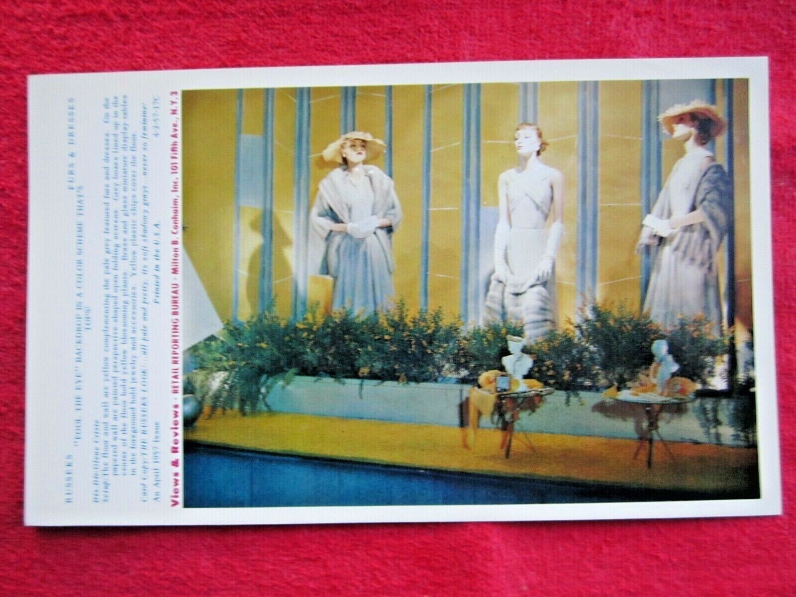 1957 RUSSEKS STORE WINDOW DISPLAY FURS & DRESSES PHOTOGRAPH PRINT #44