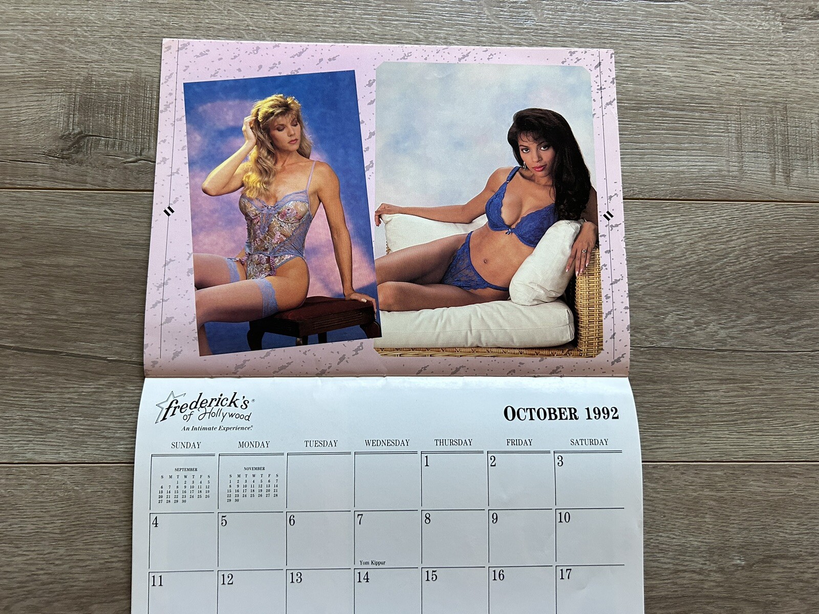 Vintage Fredericks Of Hollywood 1992 Sexy Lingerie Model Calendar