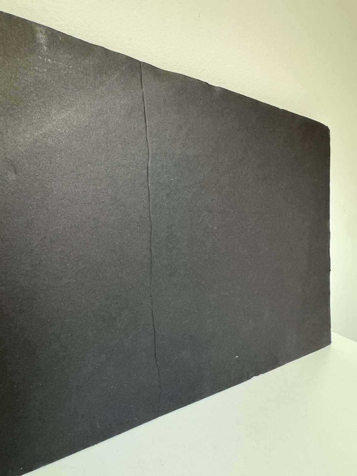 Carhartt Logo Sign 20 X 12 Retail Store Display Promotional Advertisement DAMAGE
