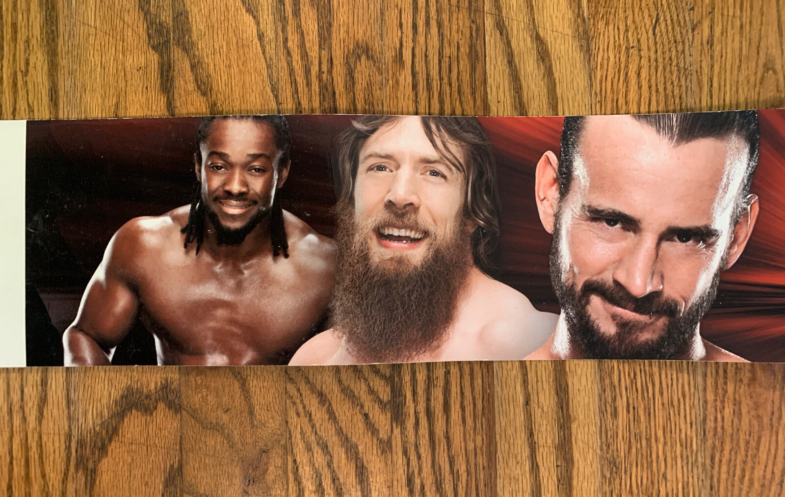 Toys R Us WWE Store Display Strip Shelf Talker 48” X 5 1/4” Cena Bryan CM Punk