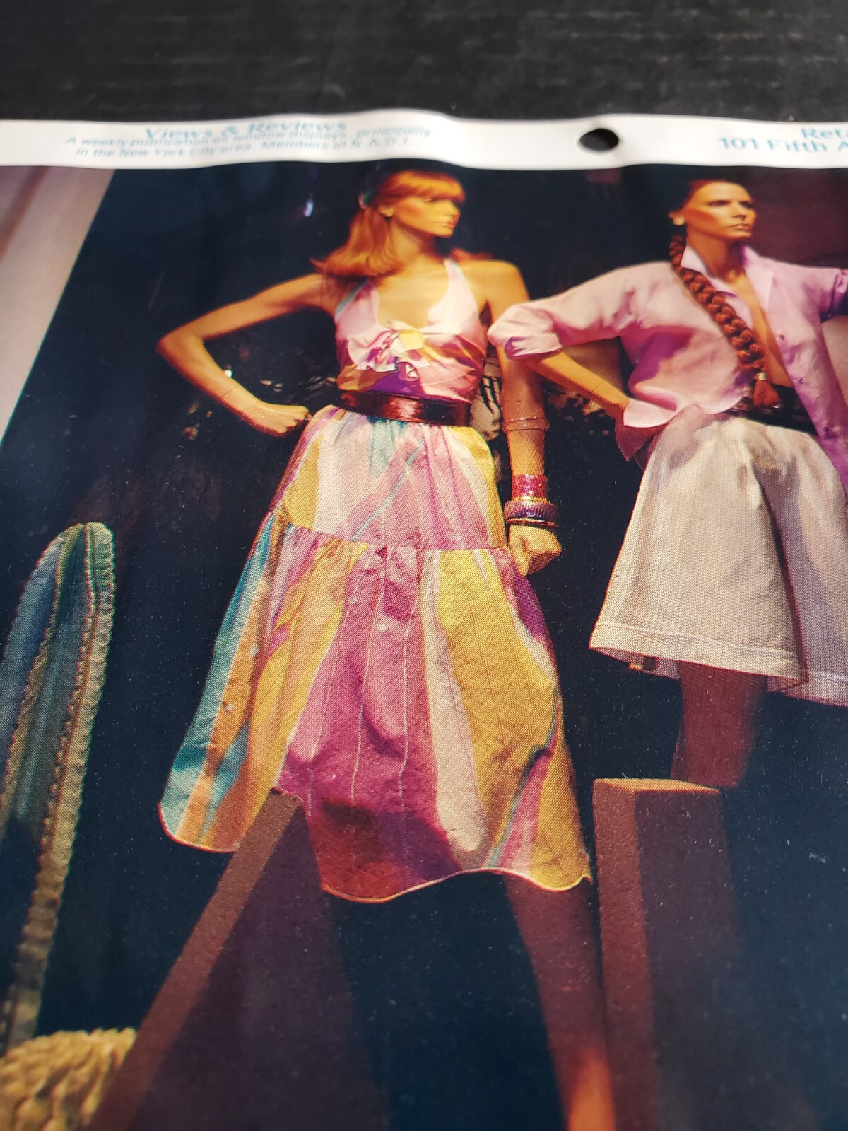 1980s GEORGES RECH, NEW YORK WINDOW DISPLAY PHOTO PRINT END OF SUMMER CACTI