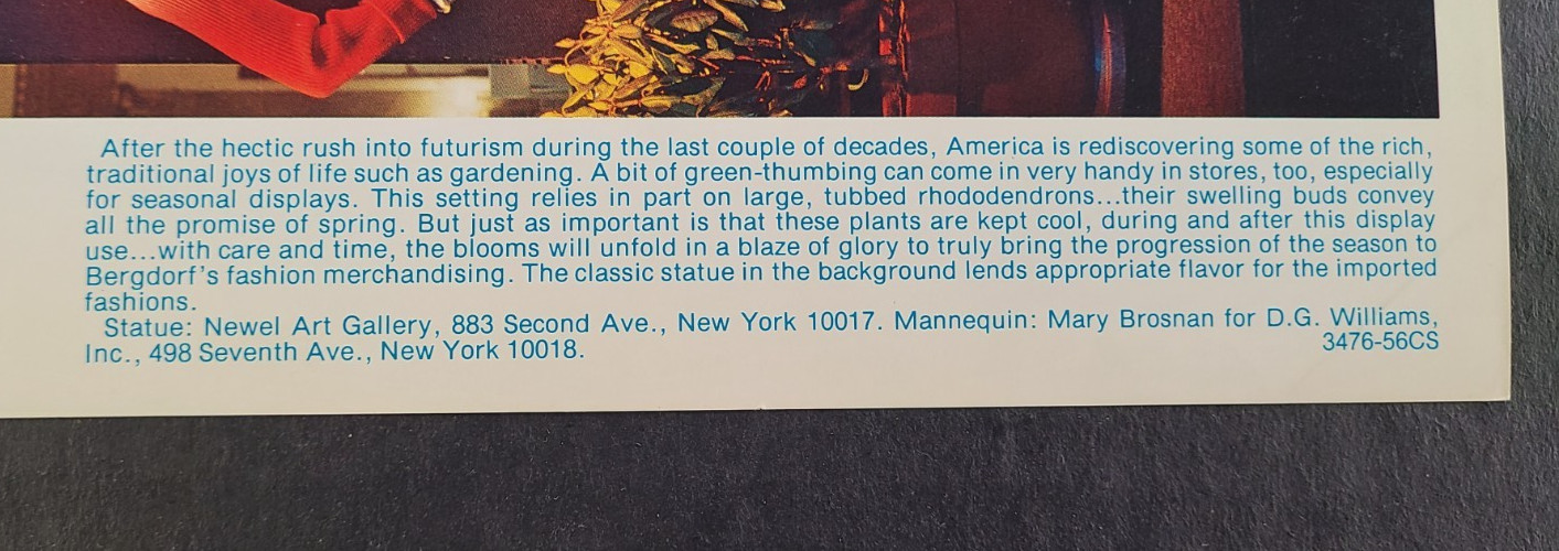 1976 BERGDORF GOODMAN, NY WINDOW DISPLAY PHOTO PRINT STATUE IN RHODODENDRONS