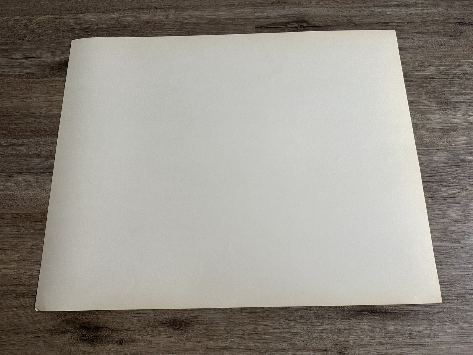Vintage Fredericks Of Hollywood Sexy Lingerie Model Store Display Poster #21