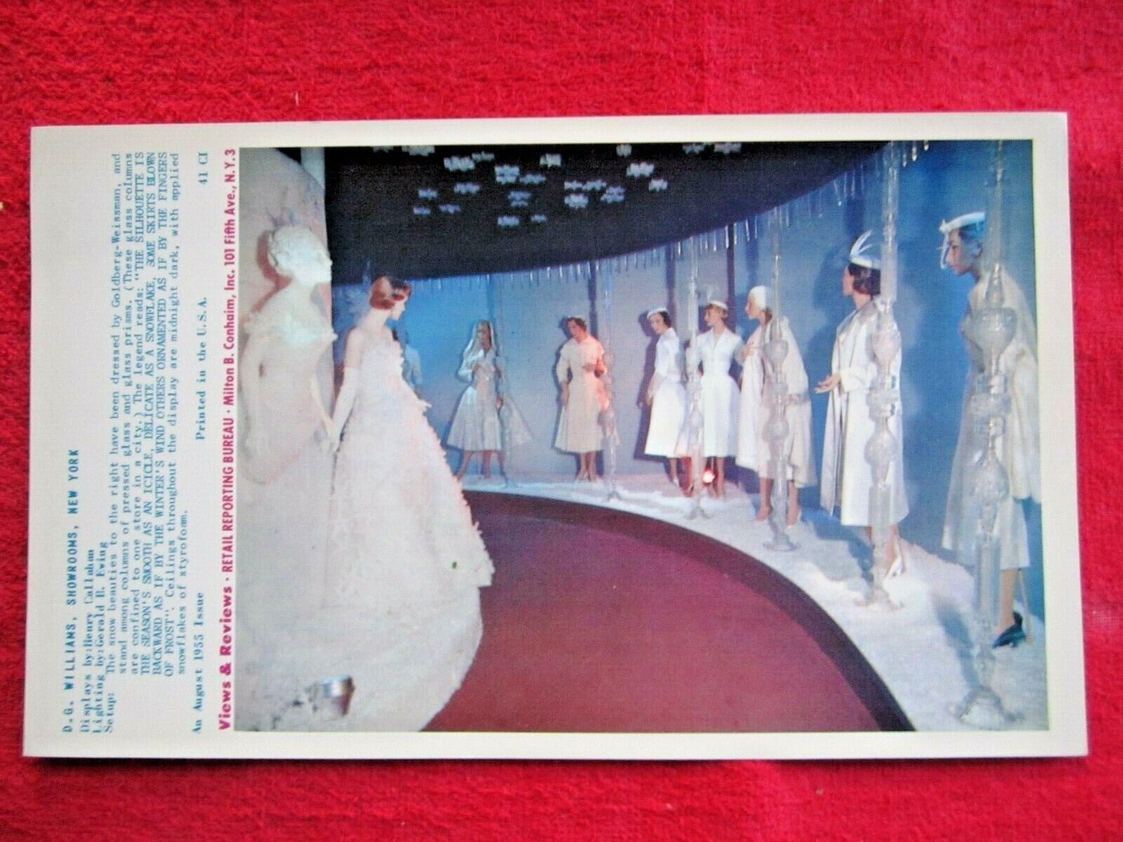 1955 D.G. WILLIAMS STORE WINDOW DISPLAY SNOW BEAUTIES PHOTOGRAPH PRINT #50