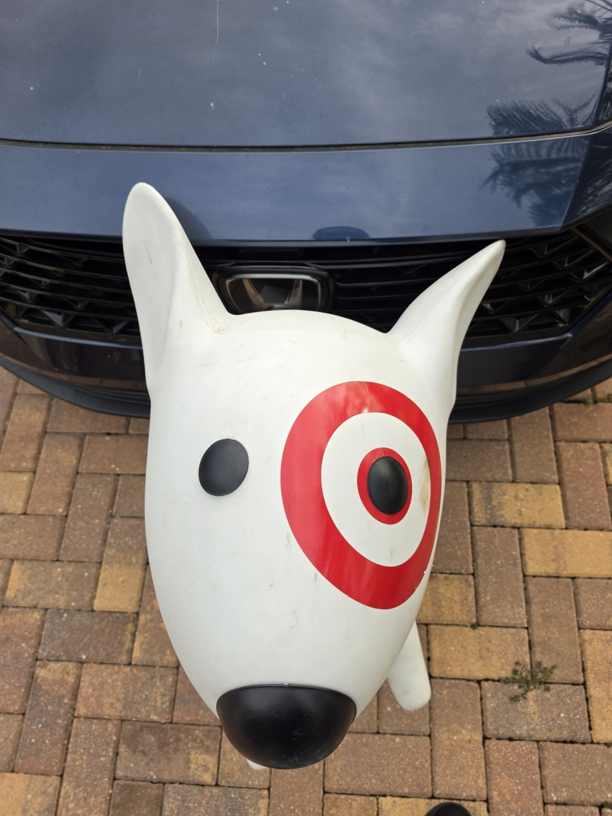 Bullseye Target Dog Mascot Giant Statue Store Display Mannequin Collectible READ