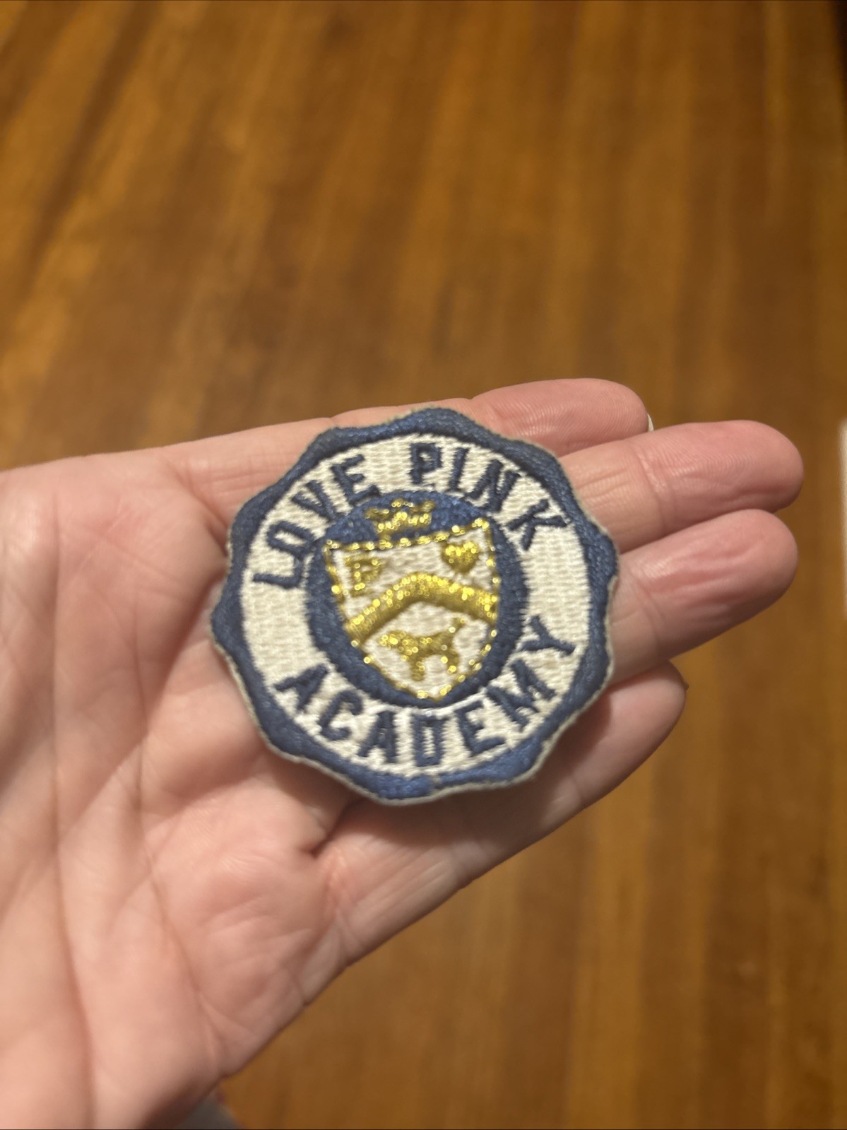 Vintage Victoria’s Secret “Love Pink Academy” Patch In Rare Blue