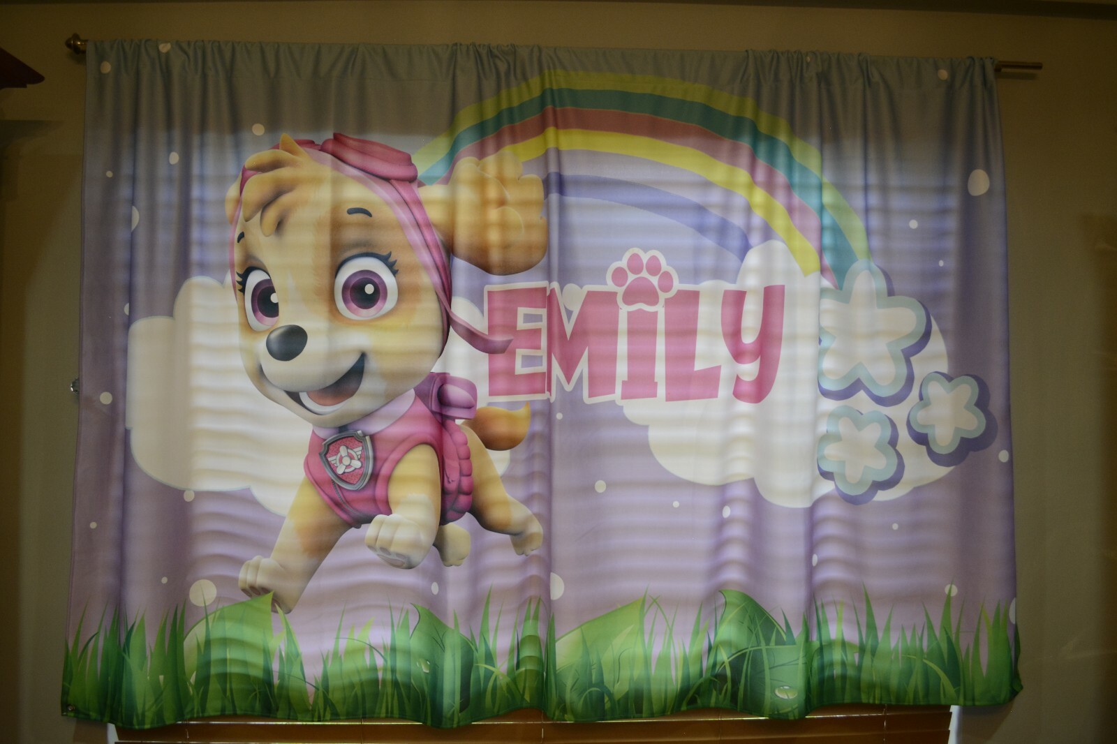 Paw Patrol Skye Fabric custom banner 57 x 97 Emily