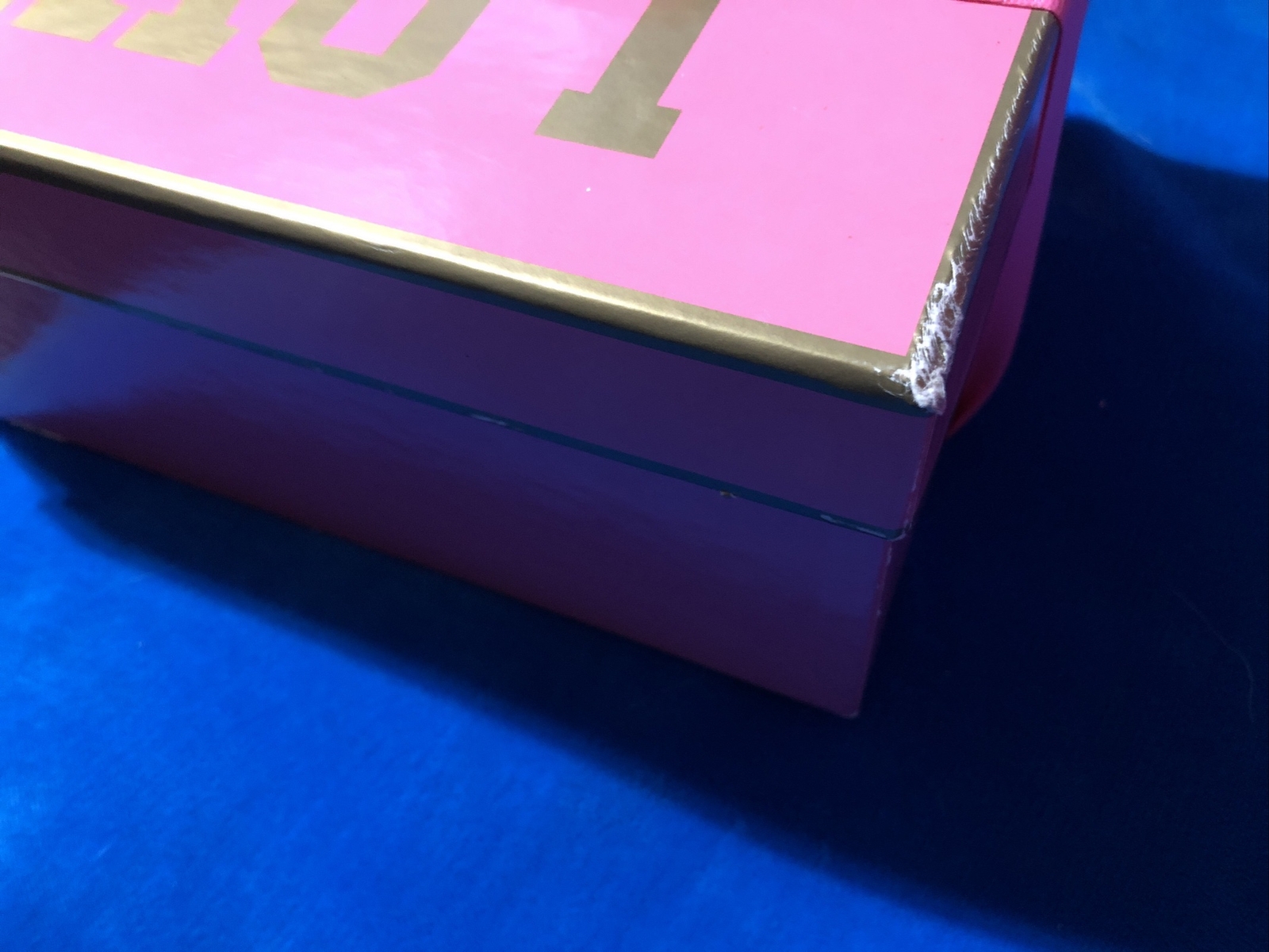 VICTORIA’S SECRET PINK LIMITED EDITION BILLION DOLLAR DOG BOX LETTER RIBBON