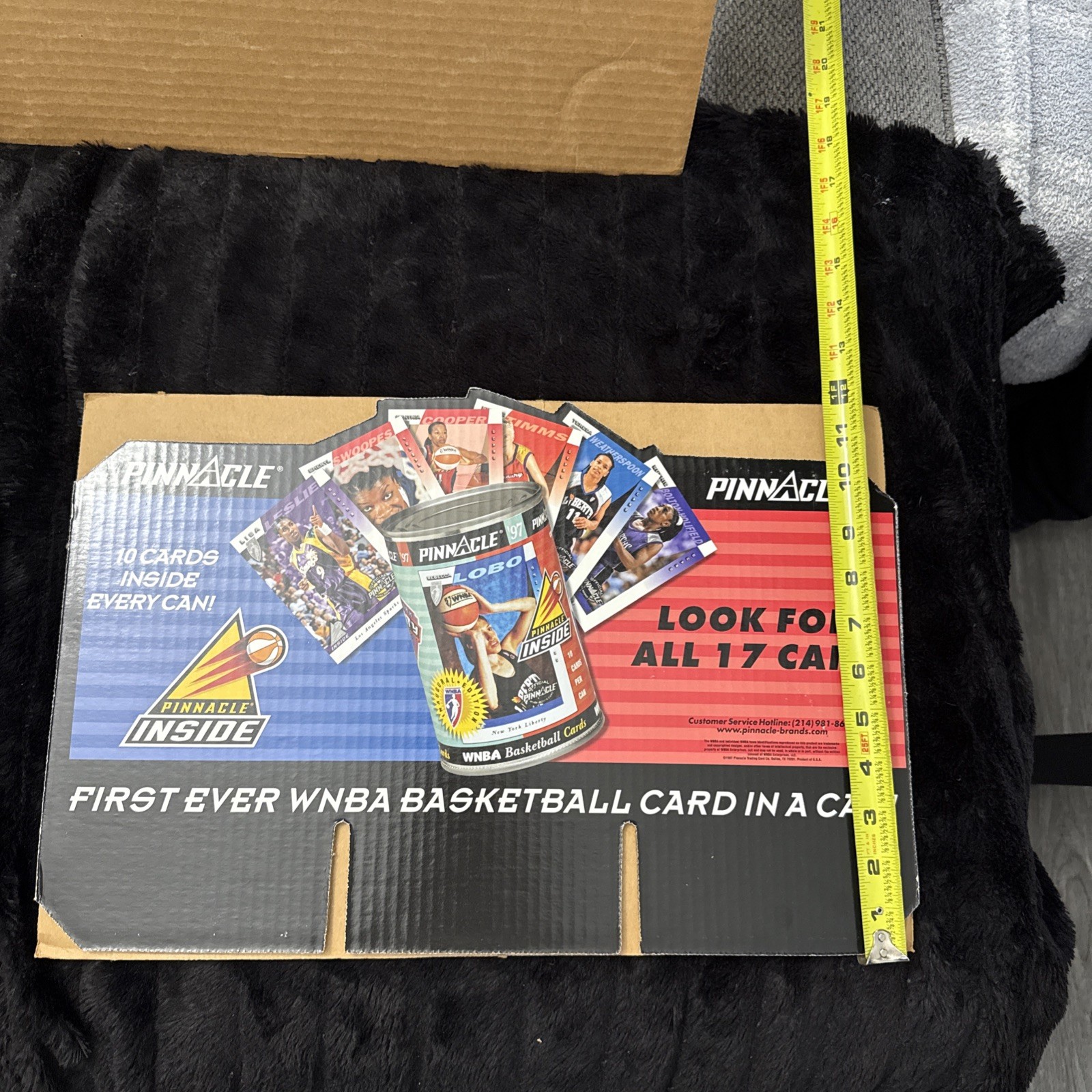 Pinnacle WNBA 1997 Pinnacle Inside 18” X 12” Cardboard Store Display Header