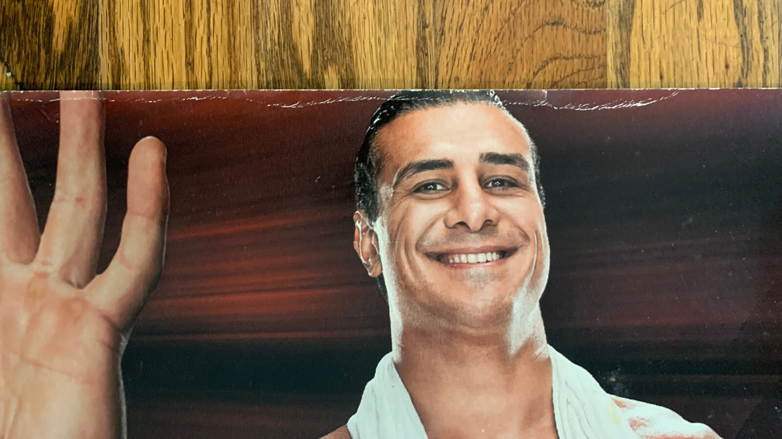 Toys R Us WWE Store Display Strip Shelf Talker 48” X 5 1/4” Cena Bryan CM Punk