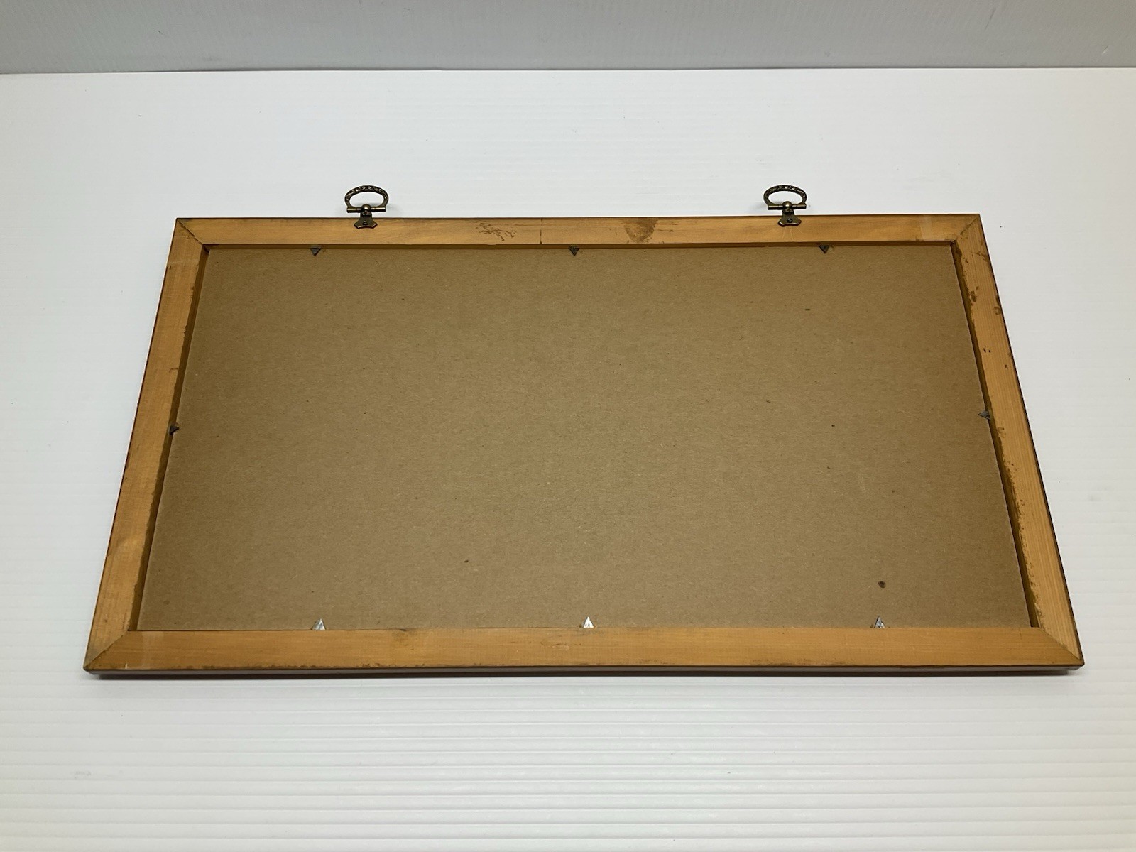 Nosler Moose in Swamp Bullet Display/Board Not Winchester, Speer, or Hornady USA