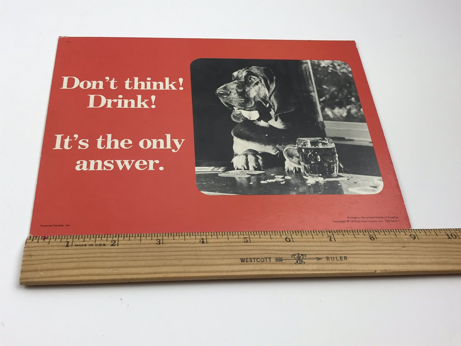 1975 Store Display April House Don’t Think Drink It’s The Only Answer Dog at Bar