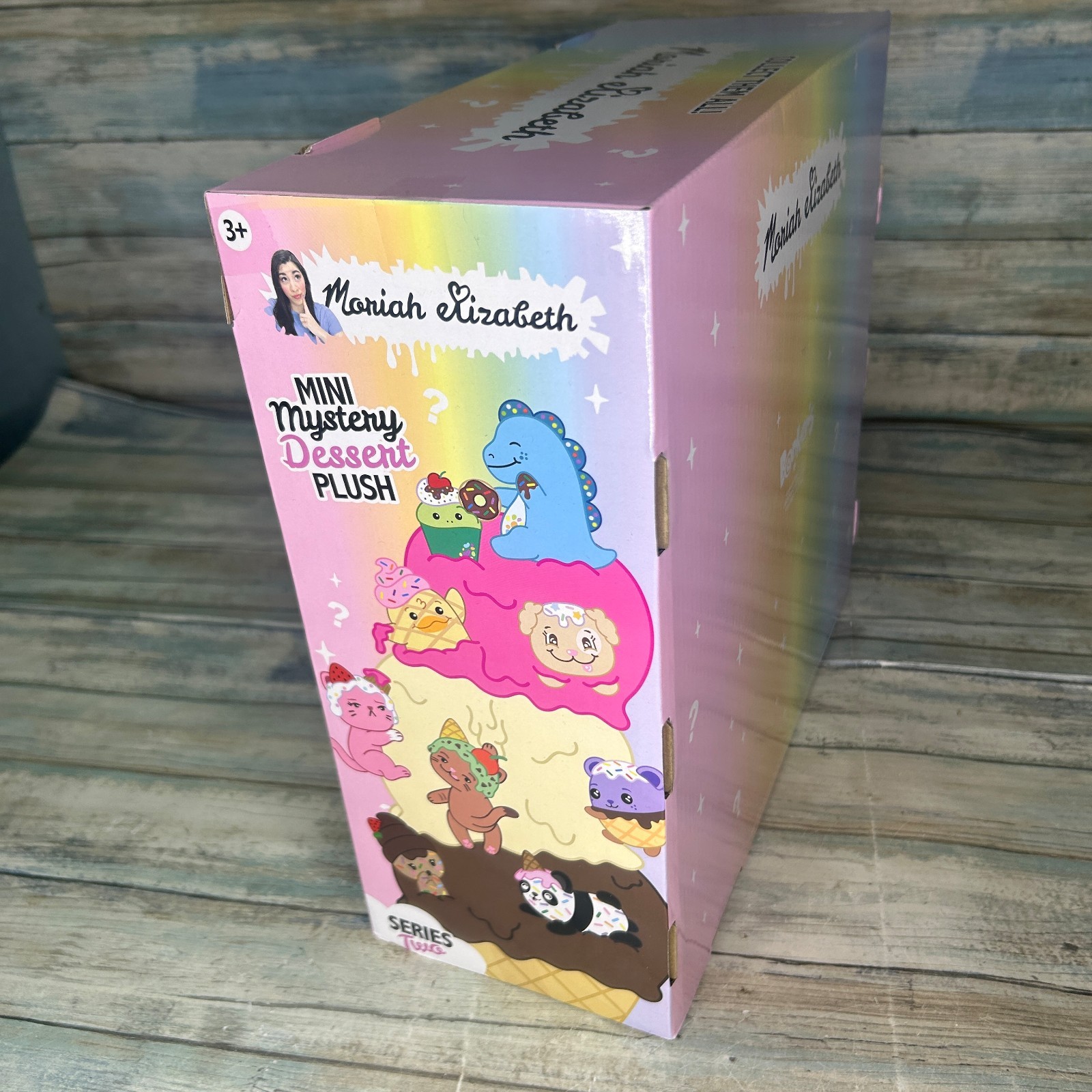 Moriah Elizabeth Mini Mystery Plush Series 2 Display Box *Empty* NO PLUSH