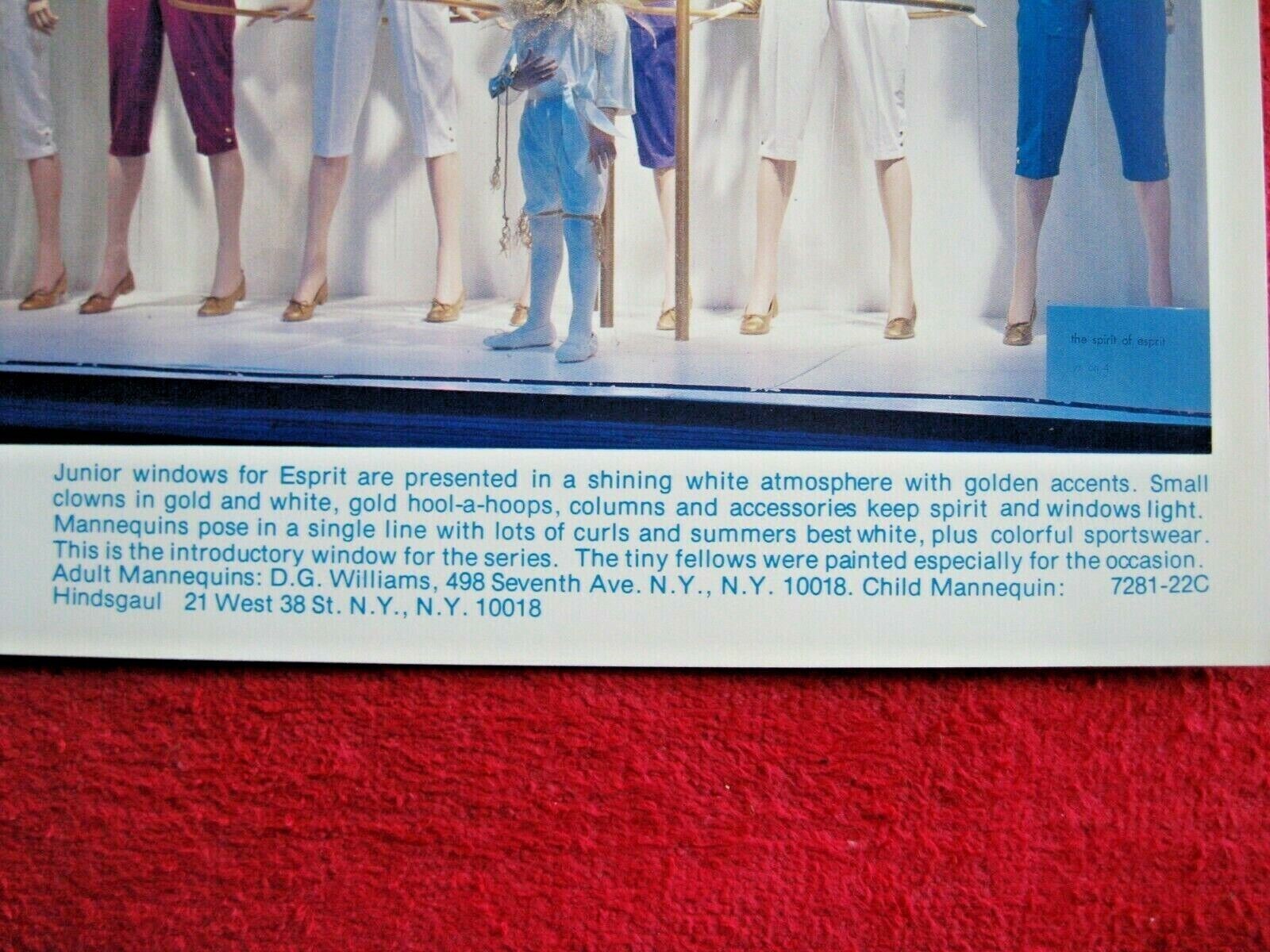 1970’s MACY’S STORE WINDOW DISPLAY JUNIOR WINDOWS FOR ESPRIT PHOTOGRAPH PRINT 65