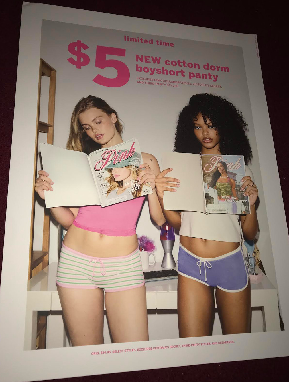 Victoria’s Secret Pink VS Pink Panties PROMO POSTER Dorm Decor Wall Art Posters