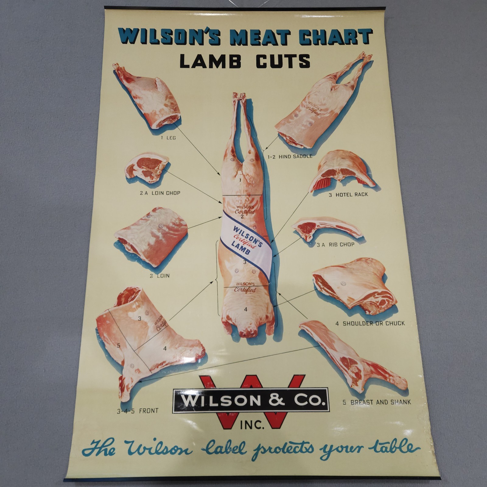 Vintage 1940s Wilson & Co. Lamb Cuts Chart Meat Poster 34½ x 22½