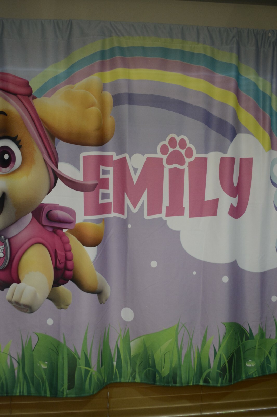 Paw Patrol Skye Fabric custom banner 57 x 97 Emily