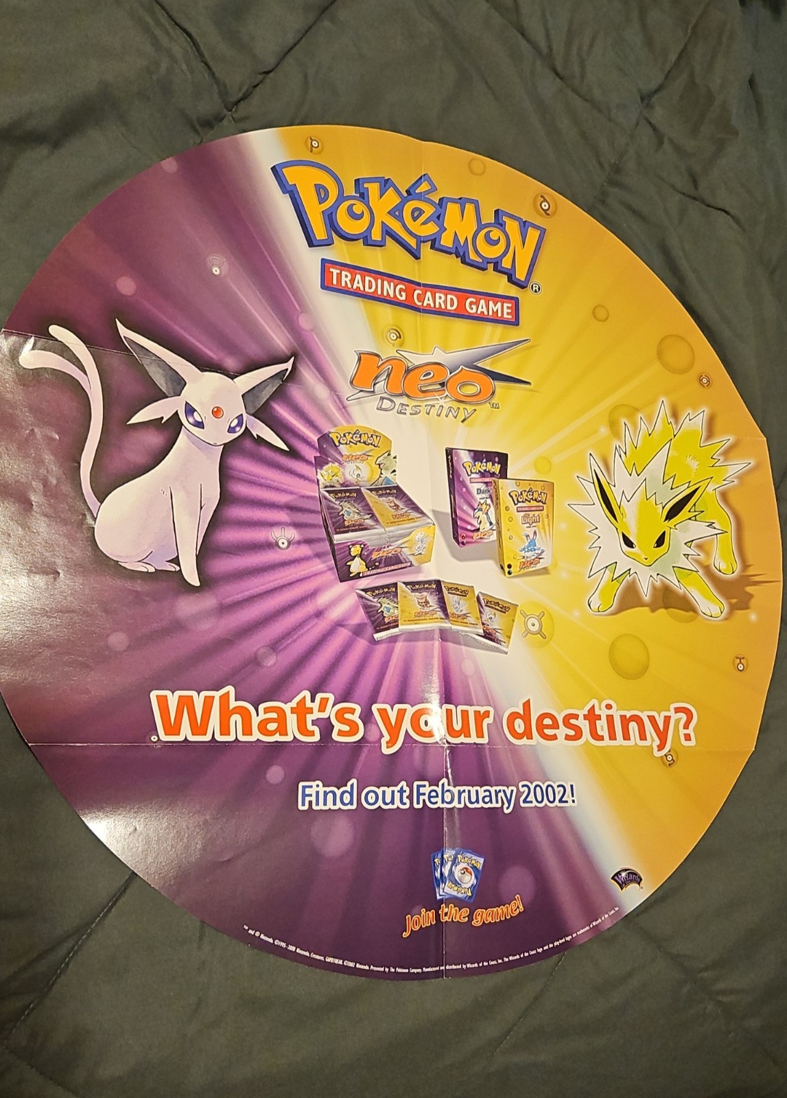 Rare Pokémon Store Display Neo Destiny Game Shop Poster. Espeon And Jolteon