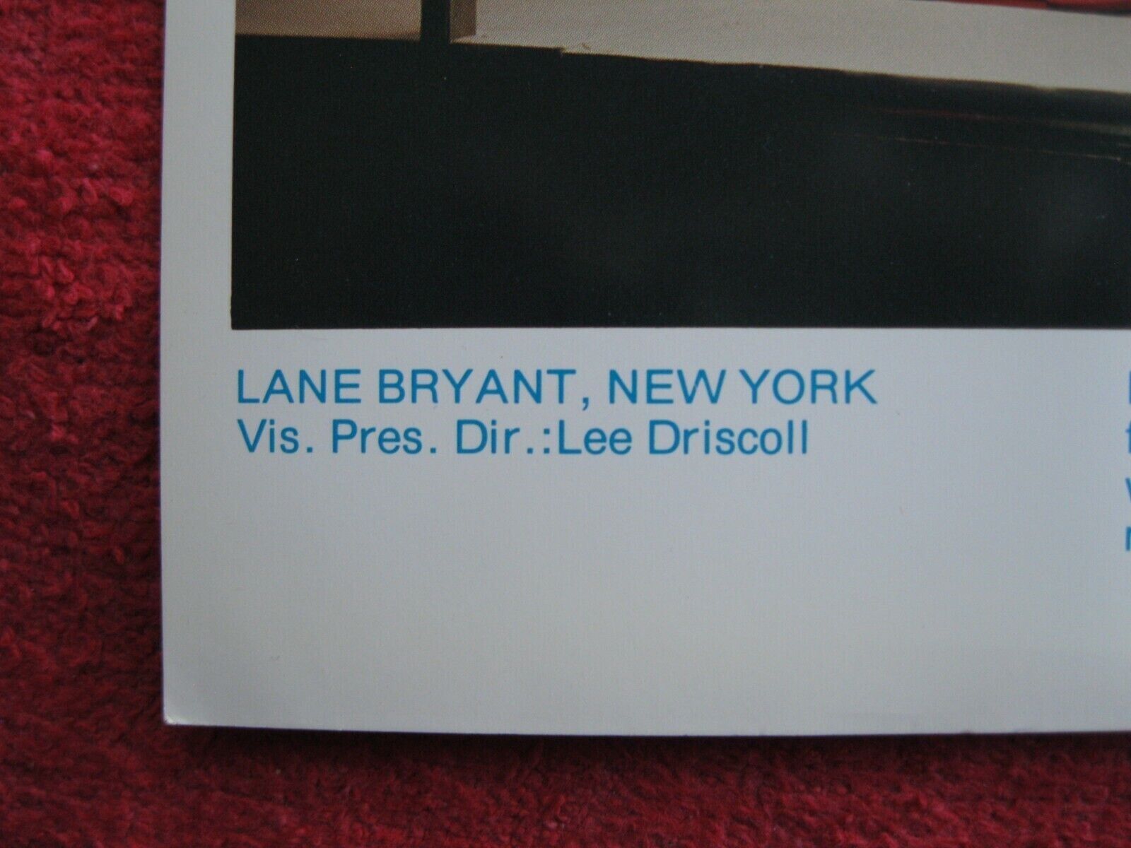 1970’s LANE BRYANT STORE WINDOW DISPLAY FALL SEPARATES PHOTOGRAPH PRINT #78
