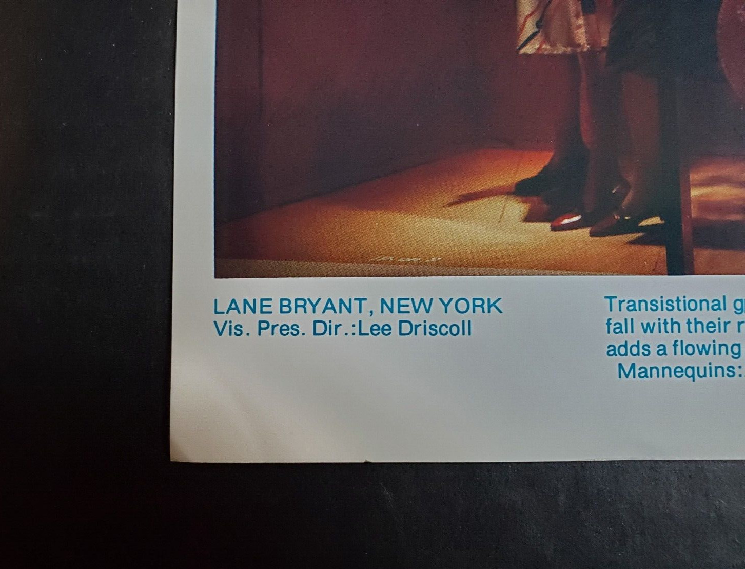 1980s LANE BRYANT NEW YORK WINDOW DISPLAY PHOTO PRINT TRANSITIONAL GOES TROPICAL
