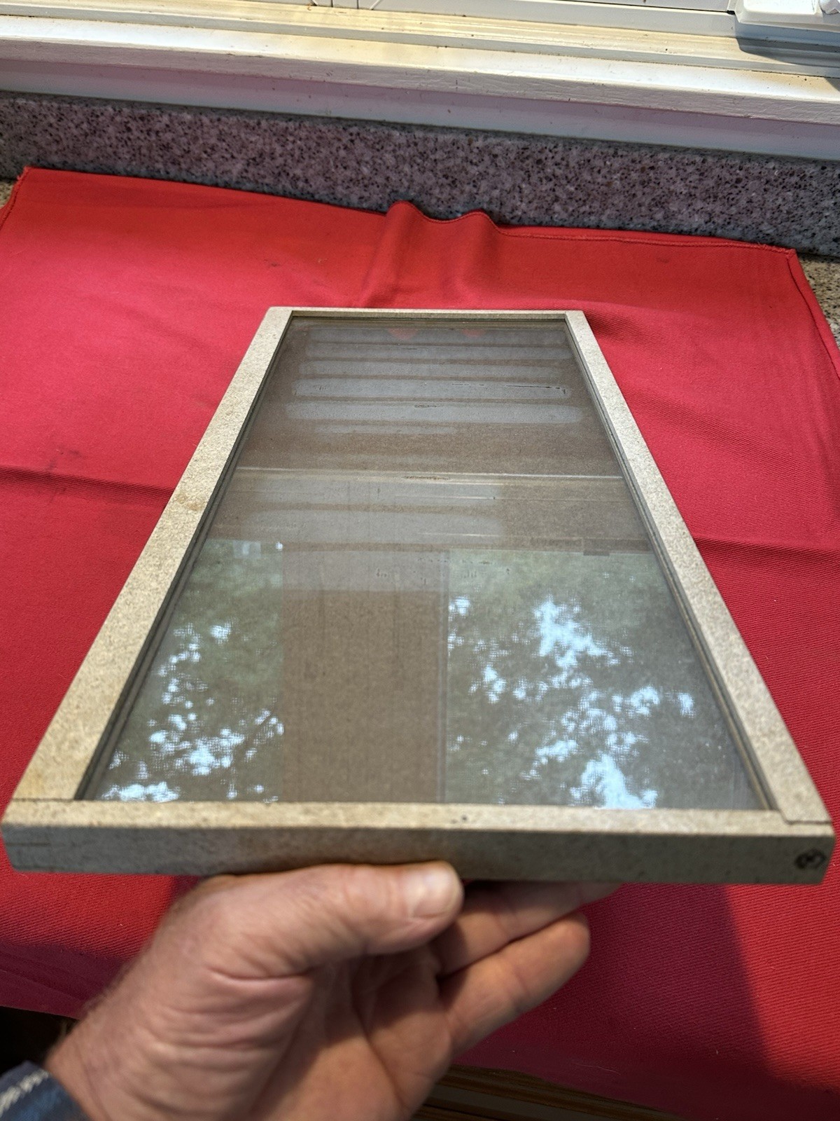 VINTAGE ACE HARD RUBBER COMBS / ACCO COMBS SALESMAN MASONITE GLASS DISPLAY BOARD