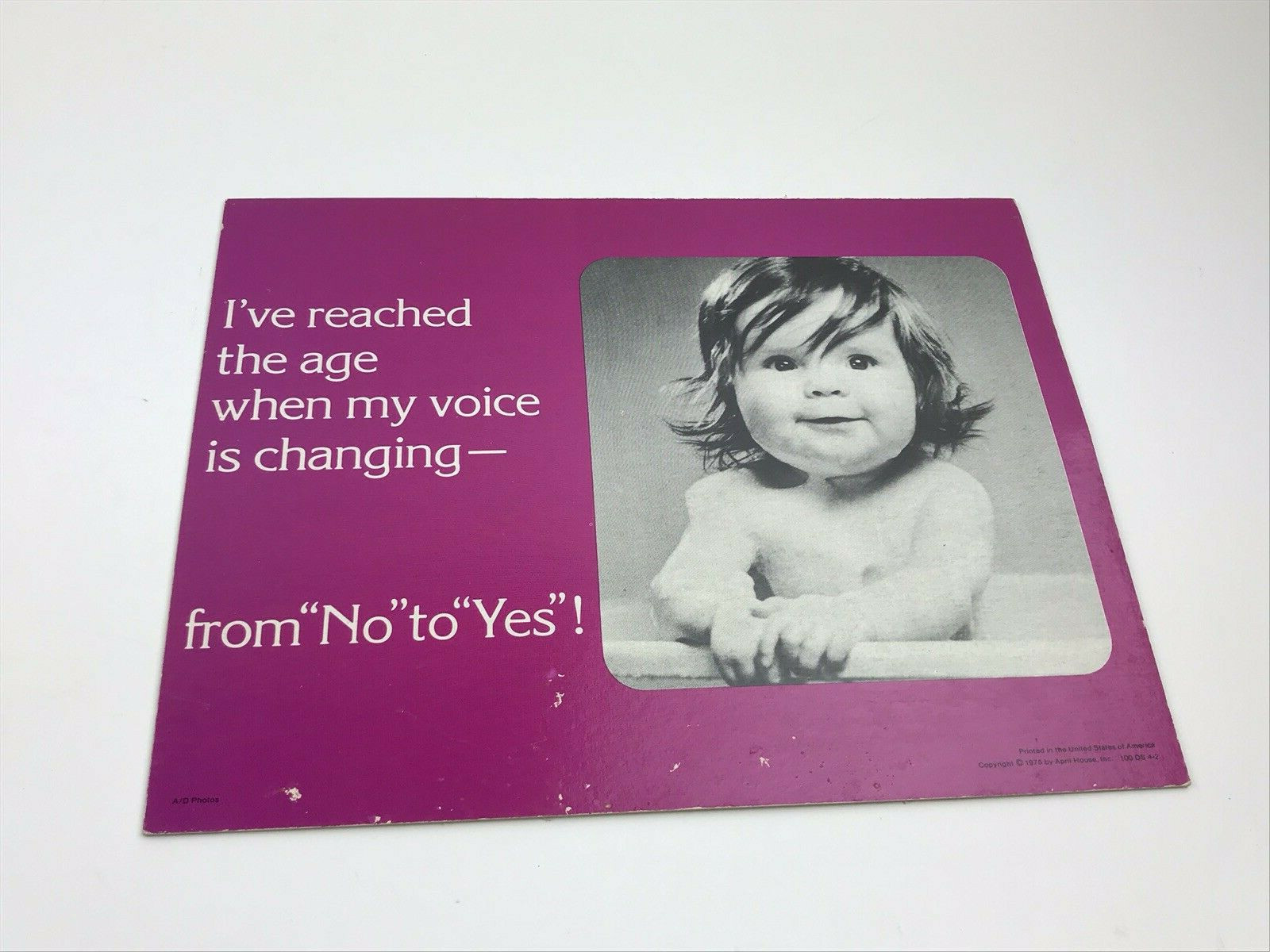 1975 Store Display April House I’ve Reached The Age When My Voice Is Changing…