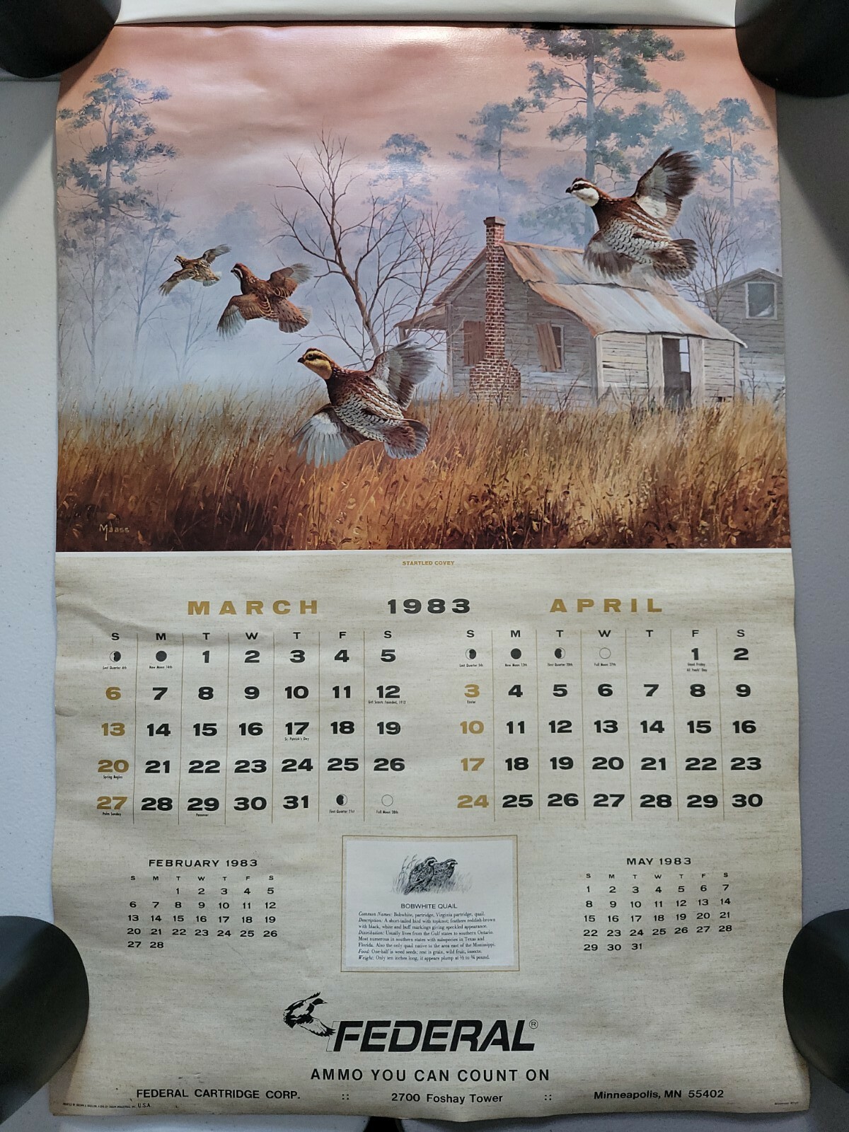 Vintage Federal Ammo Co. Hunting Gun Store Advertising Calender 1983