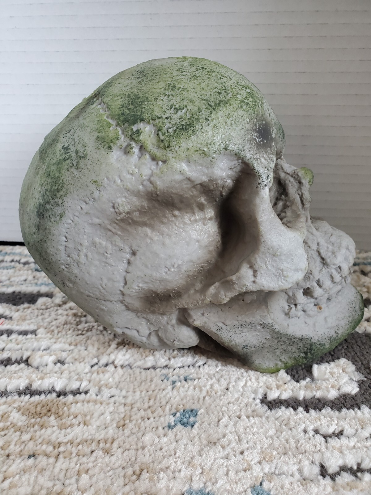 SPIRIT HALLOWEEN Store Exclusive 2020 corpse Prop SKULL from Jack’s Cave wicked