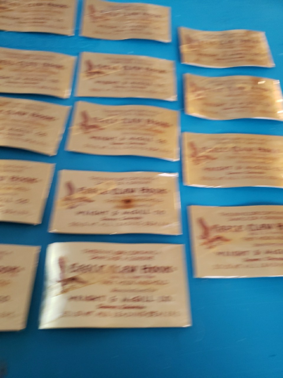 Vintage Wright McGill Eagle Claw Hooks Fishing Salesman Sample Cards Lot of 24