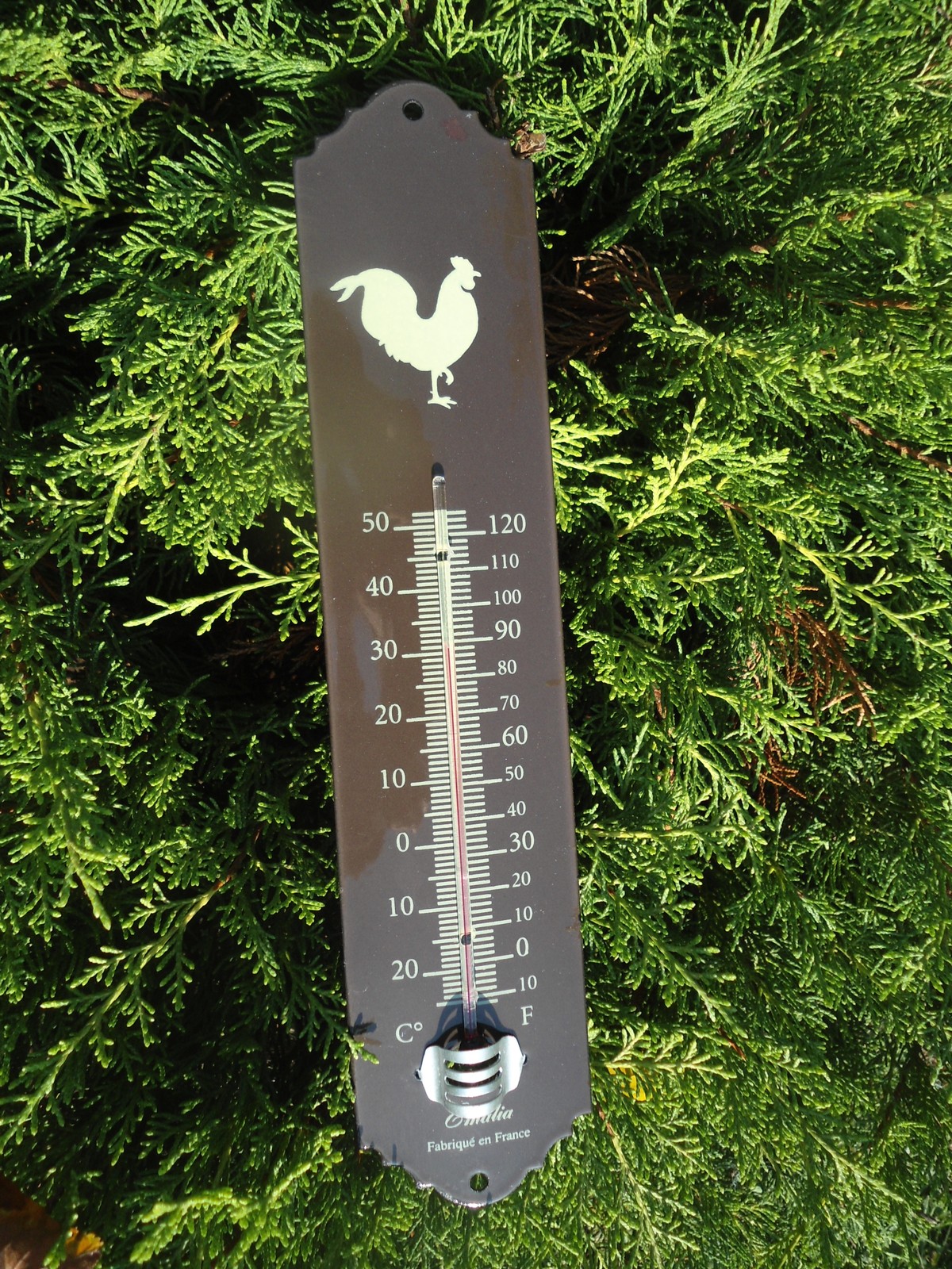 Enamel Thermometer 30cm Rooster Chocolate Genuine Enamel New Made in France