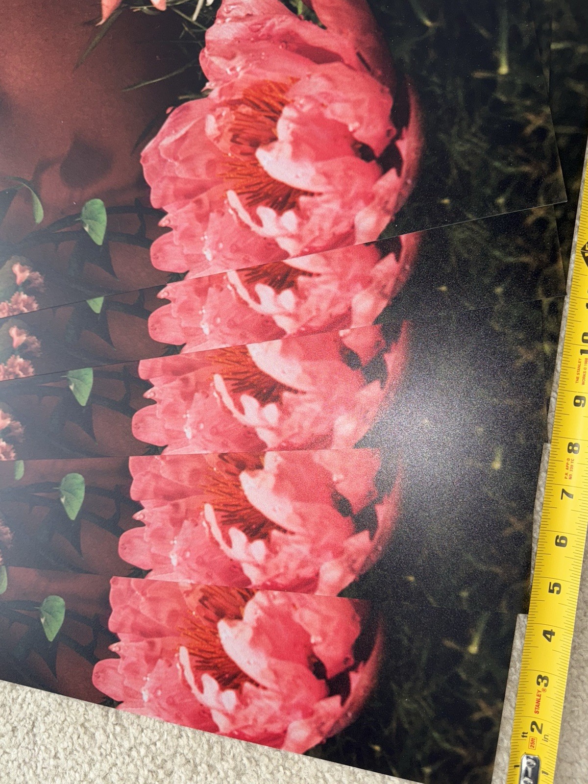 Victoria’s Secret Pink Promo Poster Rare!