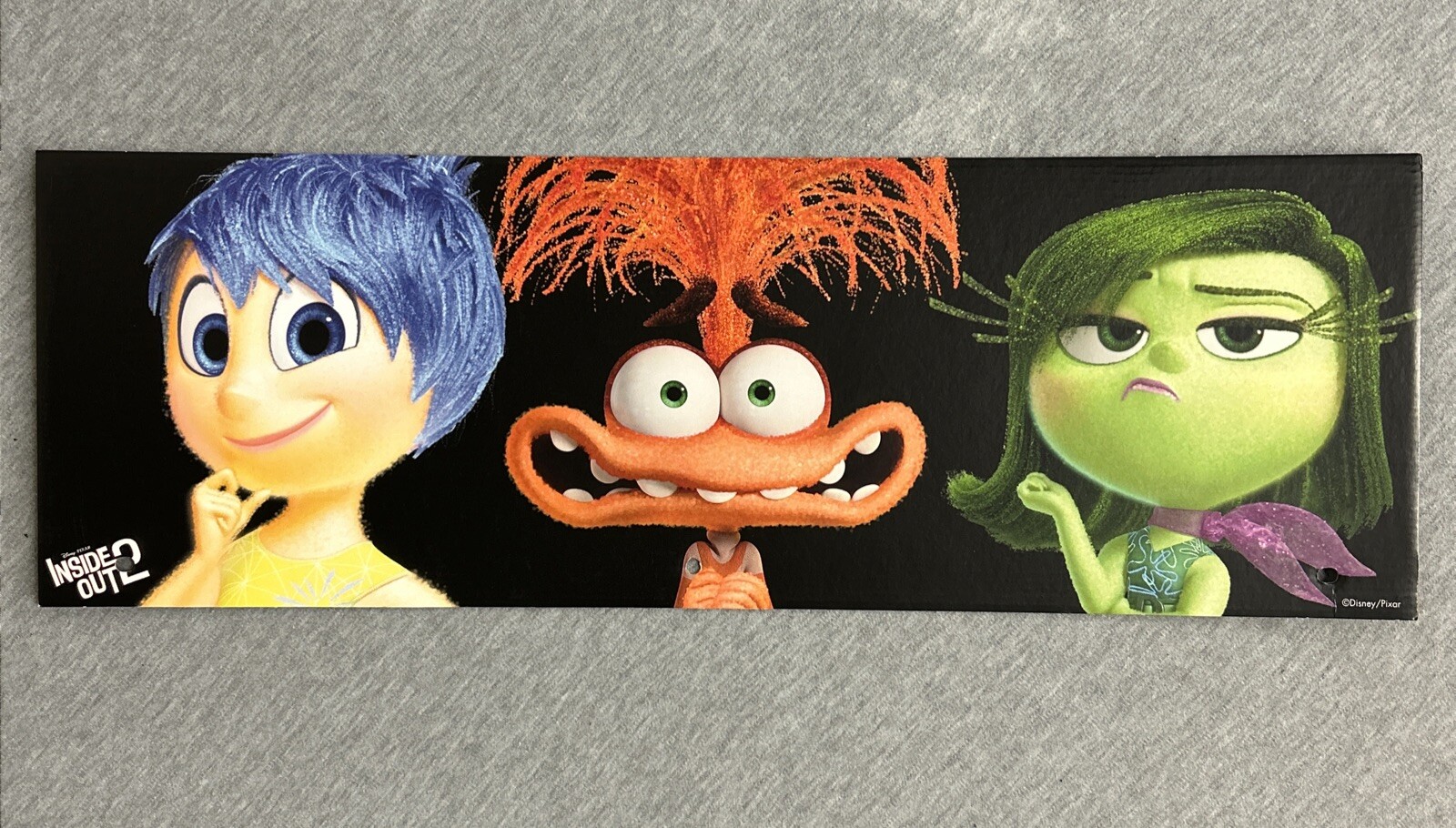 2024 Spirit Halloween Display End Cap 24″ x 8″ – Inside Out 2