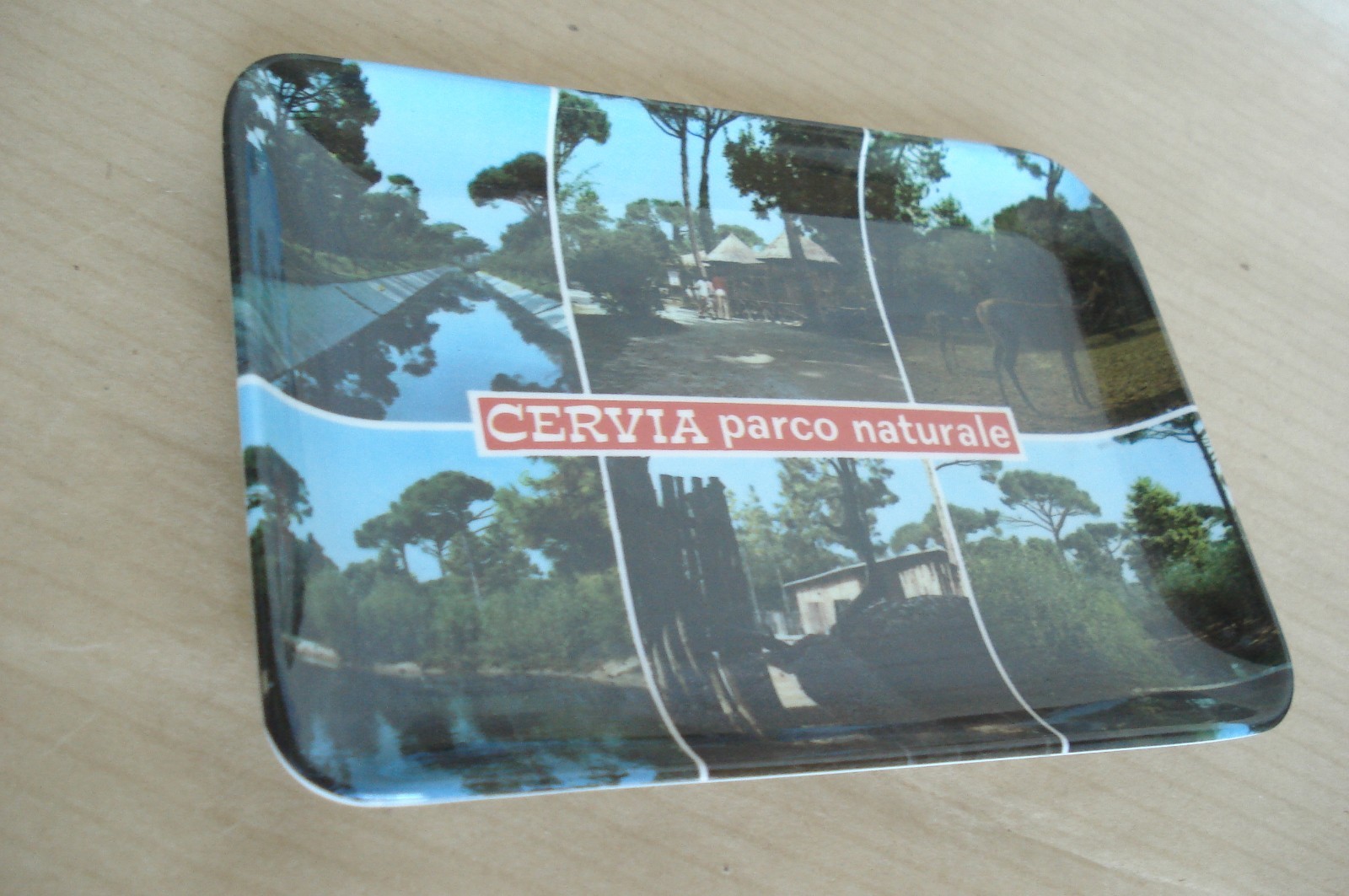 CERVIA NATURAL PARK ASHTRAY ANIMAL VIEWS NATURE POSTCARD 1960s