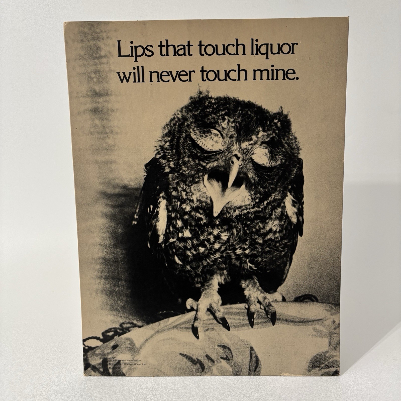 Vtg 1973 April House “Lips that touch liquor will never touch mine” Cardboard Ad