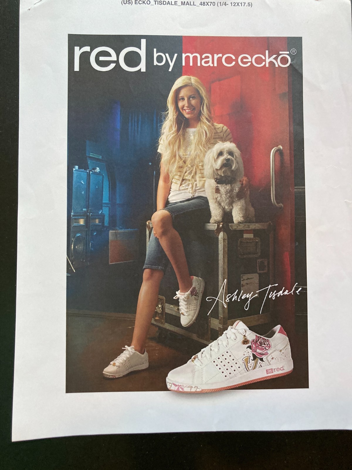 Marc Ecko RED Footwear Launch Archive 2003-2004 – Rhinos, Displays, Sales Materi