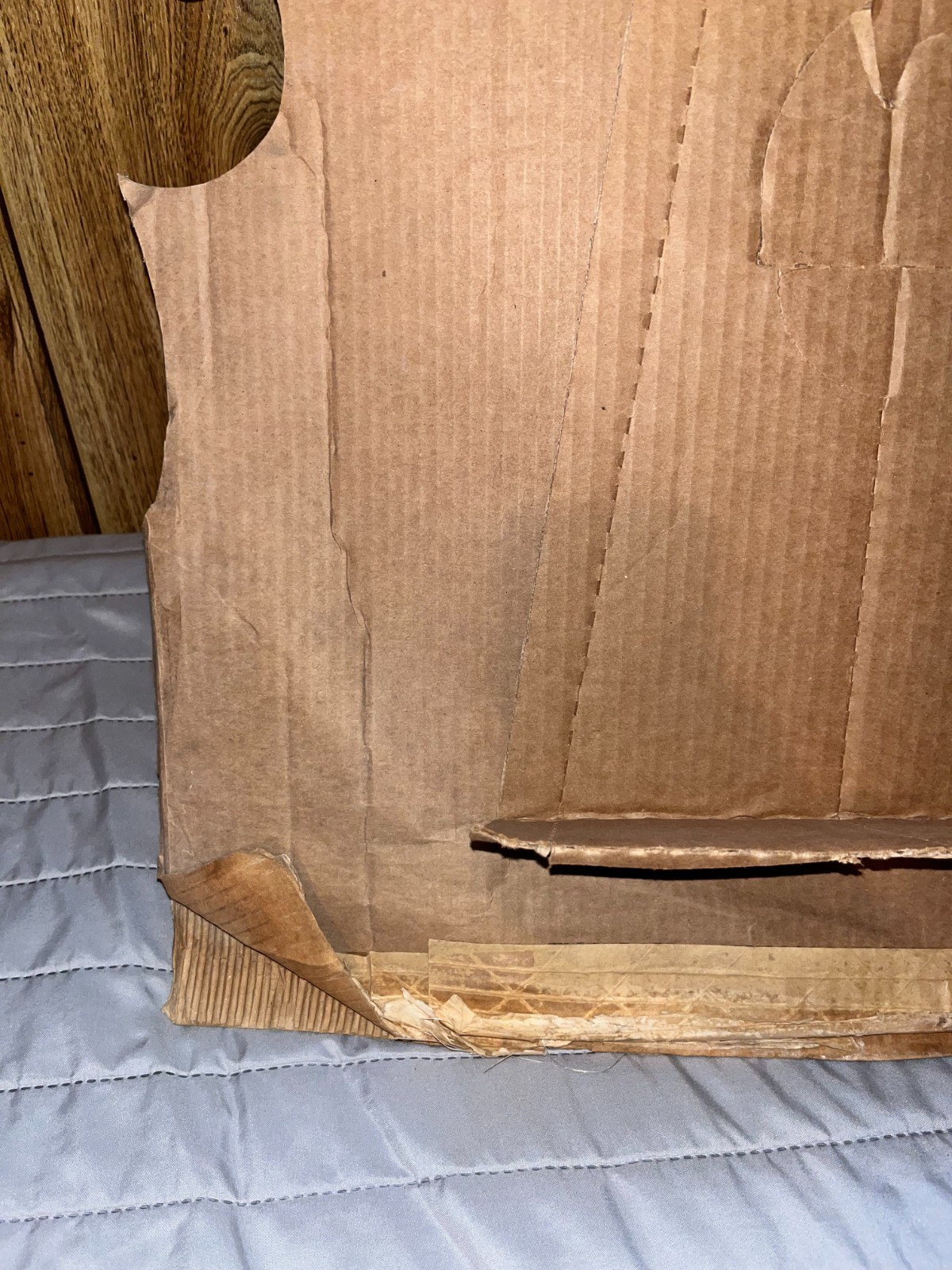 Vintage Pespi Doritos Reese Store Display CANT FIND IT
