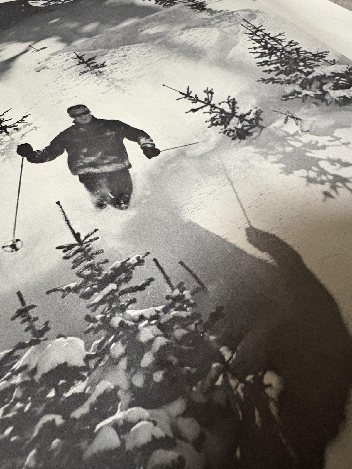 Vintage The North Face Ski Shops Poster Advertising Sign Black And White Litho