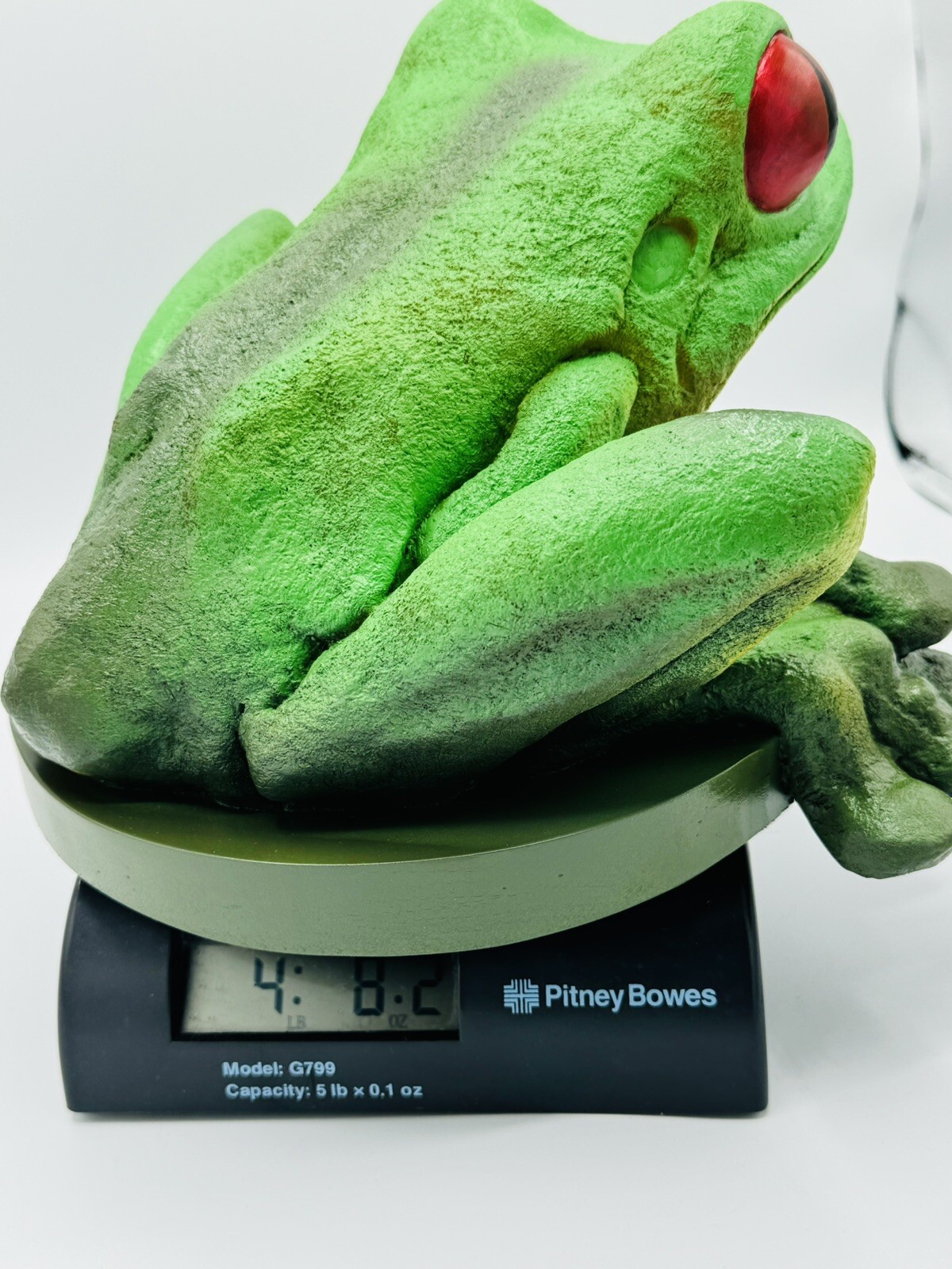 CUSTOM JUPITER FROGSKINS STATUE DISPLAY FOR OAKLEY SUNGLASSES LARGE DISPLAY HEAD
