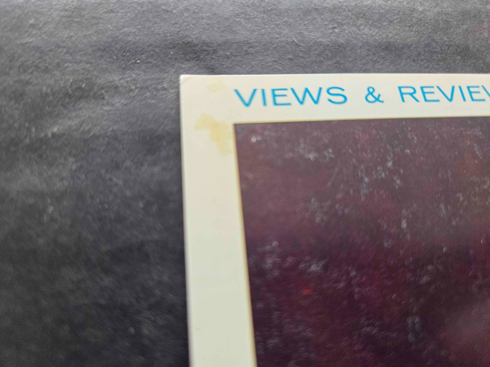1977 NEIMAN-MARCUS, DALLAS WINDOW DISPLAY PHOTO PRINT PINK SALE