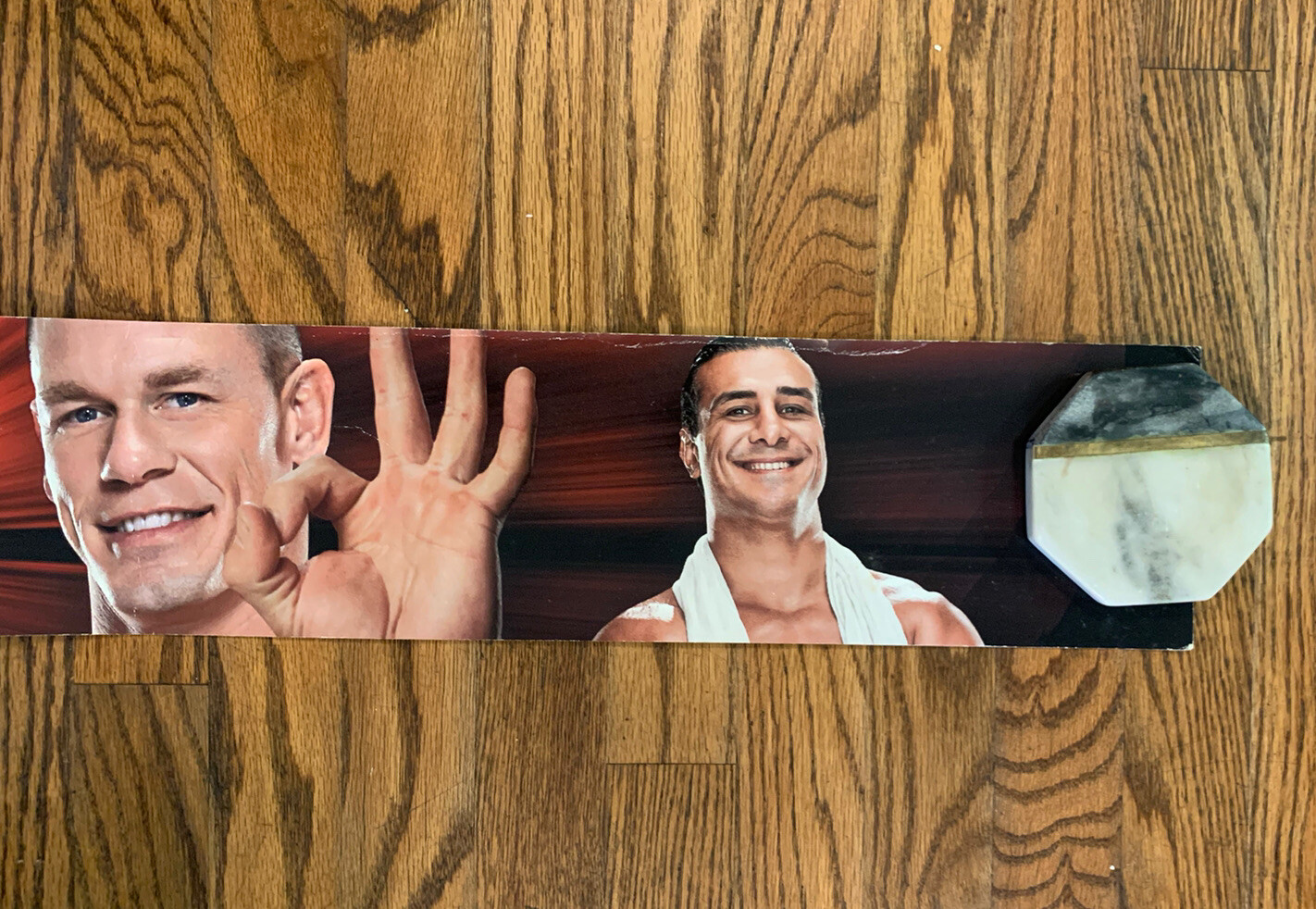 Toys R Us WWE Store Display Strip Shelf Talker 48” X 5 1/4” Cena Bryan CM Punk