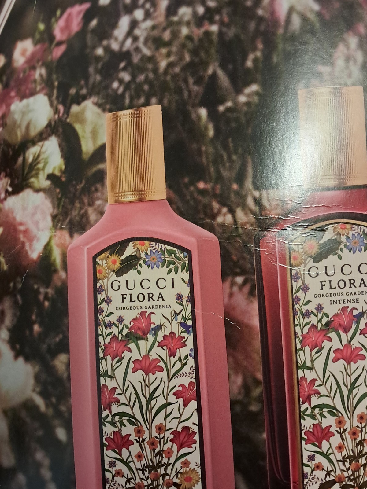 Miley Cyrus Gucci Flora 3 FT PROMO POSTER Hannah Montana Fan Gifts Ulta Beauty