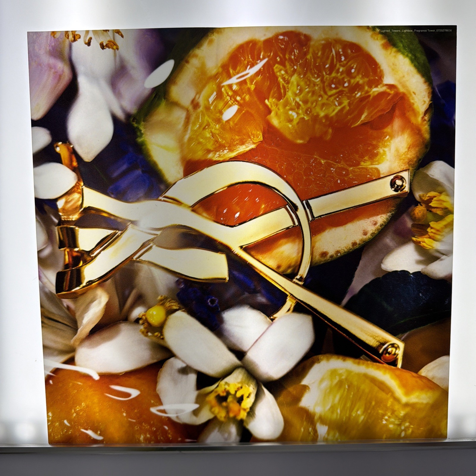 YSL Libre L’Eau Nue Floral Still Life Lightbox Insert 2026 Fragrance Tower