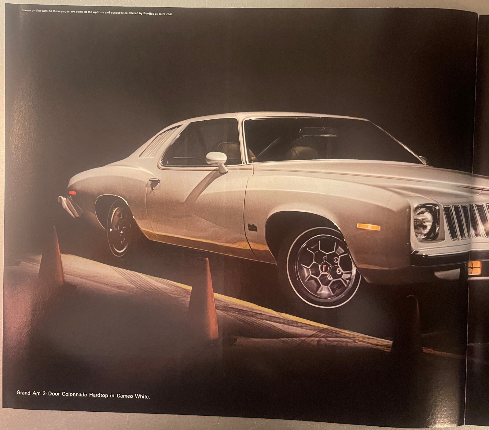 Vintage 1974 Pontiac Grand Am Dealer Brochure, Pontiac, MI