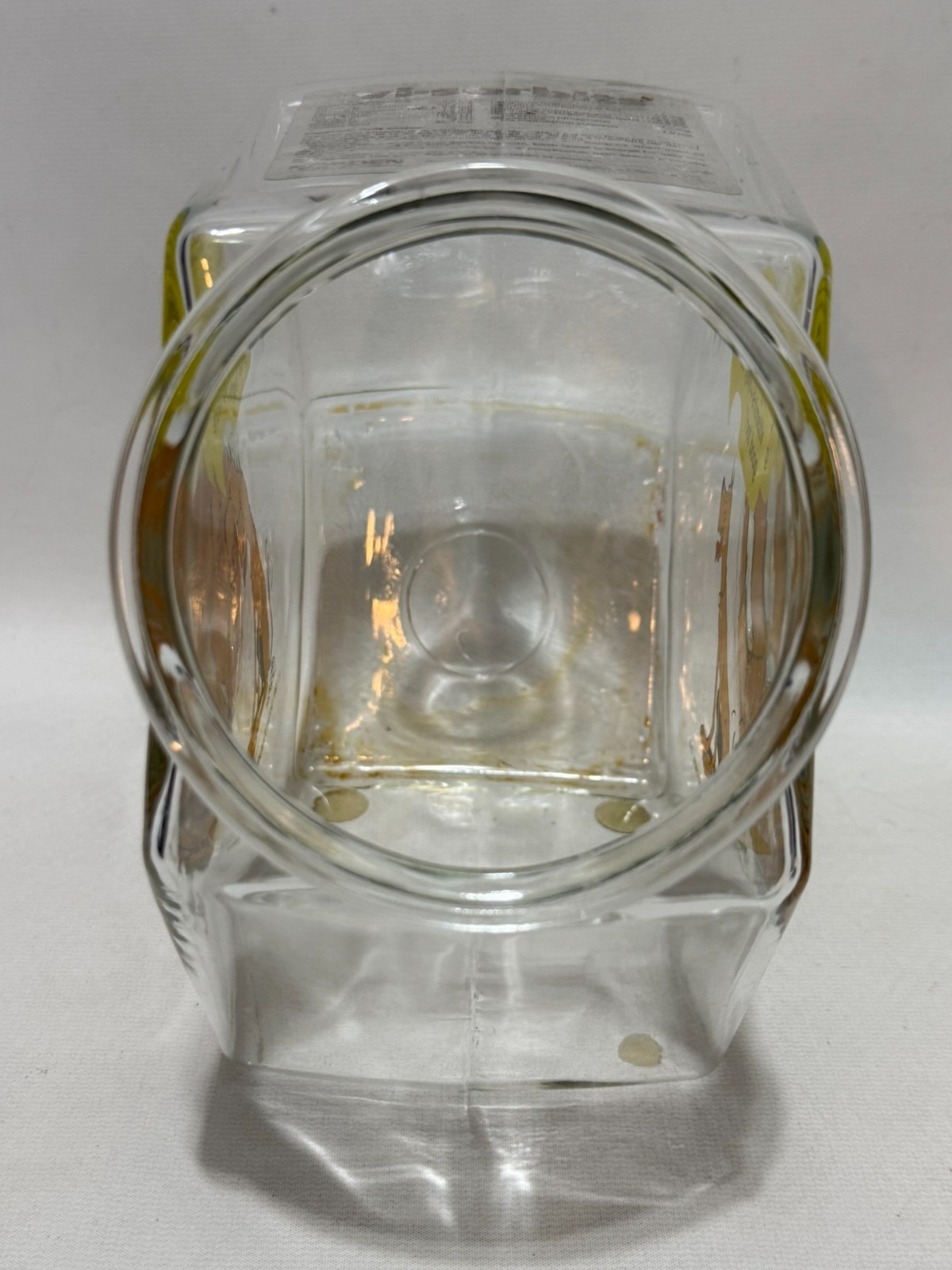 Vintage 1981 Marmaduke Retail Glass Countertop Store Display Dog Vitamin Sample